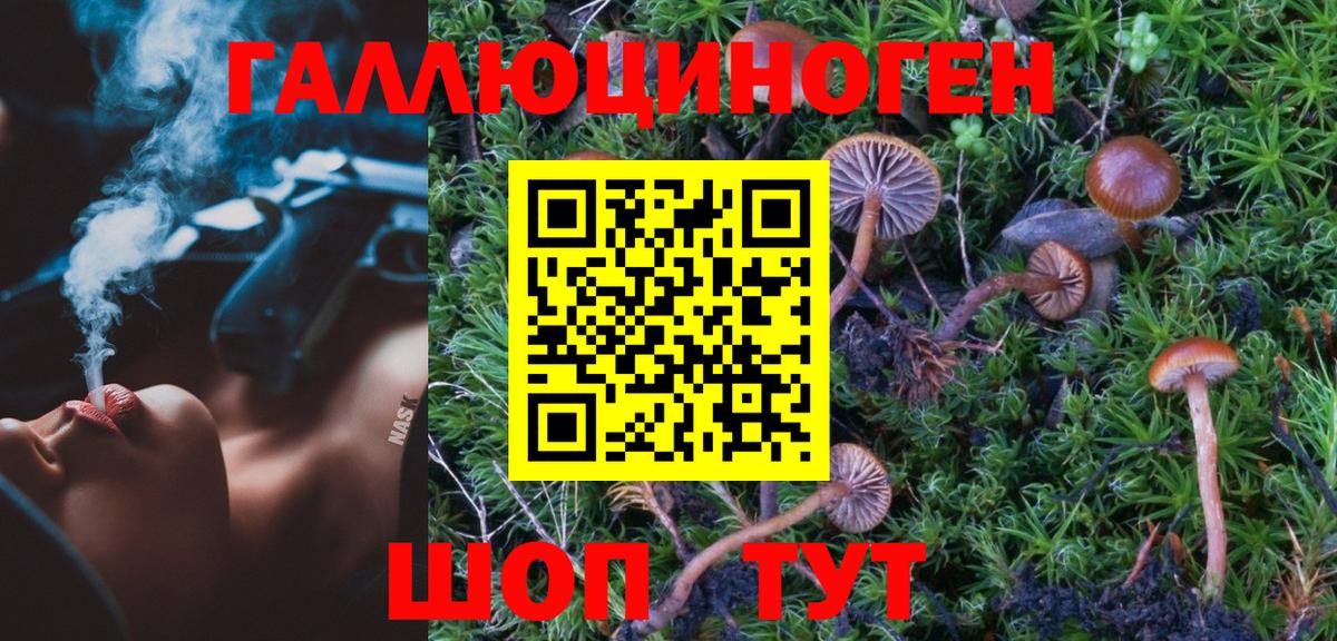 Галлюциногенные грибы ЛСД  даркнет сайт  Псилоцибиновые грибы мицелий  Железноводск  Вход с VPN 