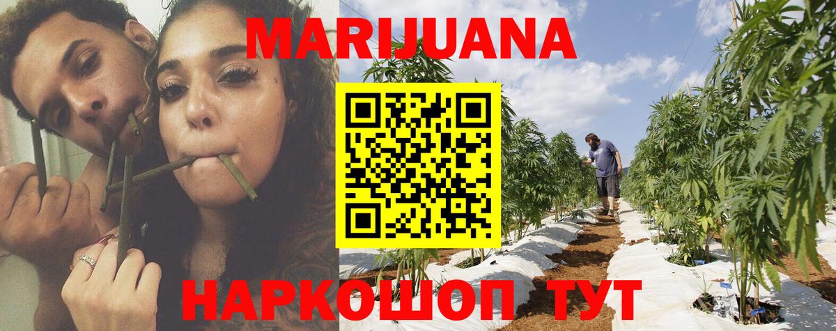 Каннабис индика  Каннабис план  Железноводск  Вход с VPN  Конопля планчик  МАРИХУАНА тримм 